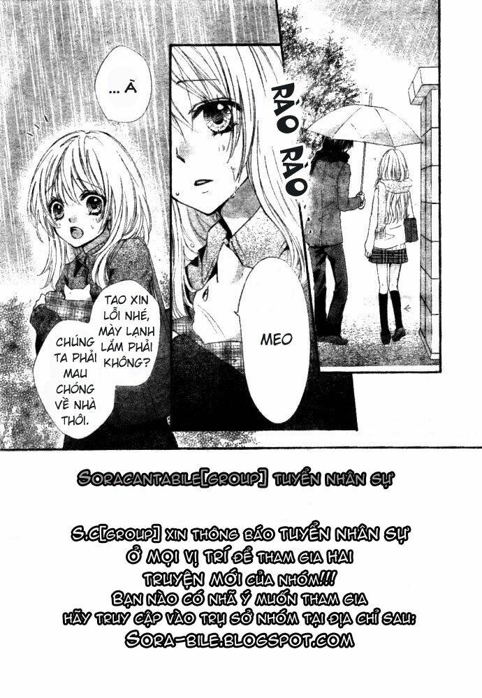 Tình Yêu Của Hiyo: Chapter 5