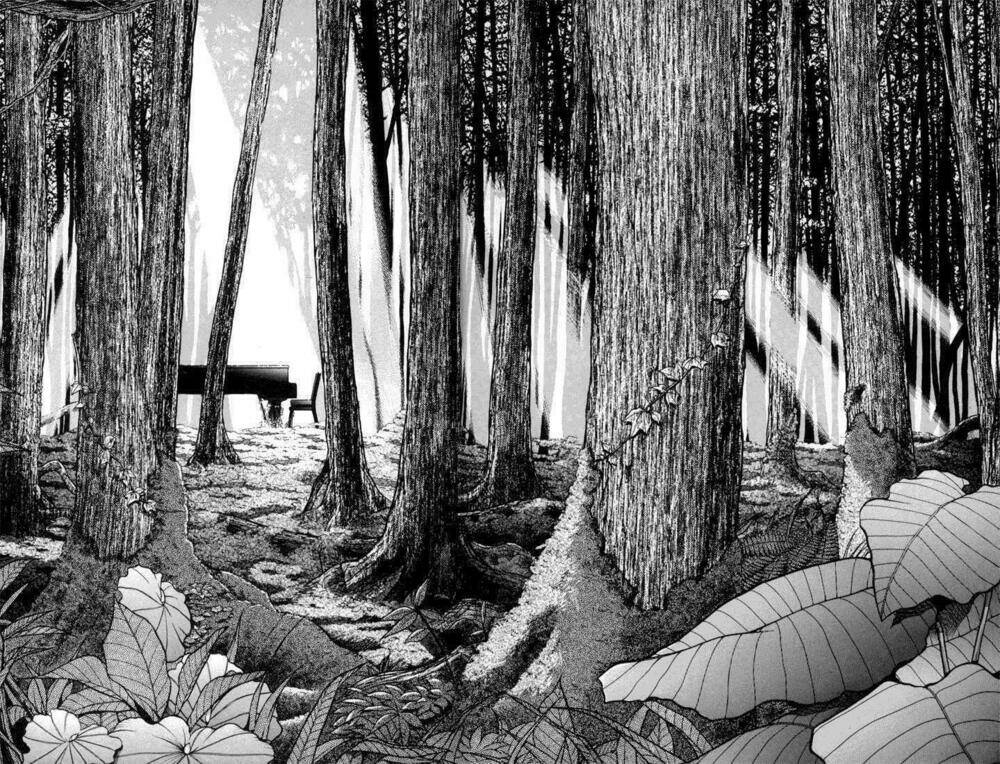 Piano No Mori: Chapter 2