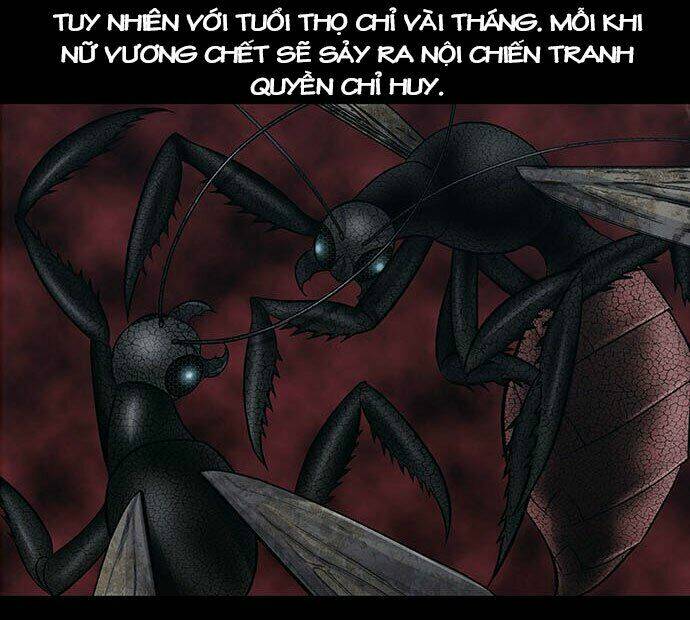 Dog Man (Chó Săn): Chapter 2