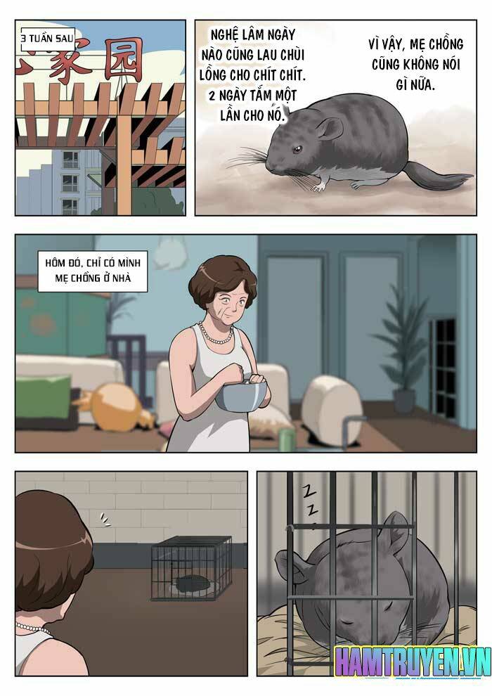 Ngụy Thủy Nghi Vân: Chapter 18