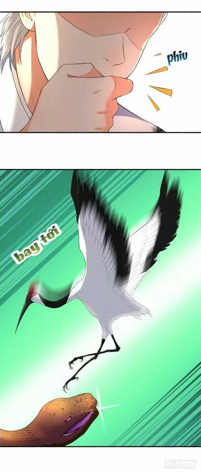 Cuồng Phi Phách Lối: Chapter 77