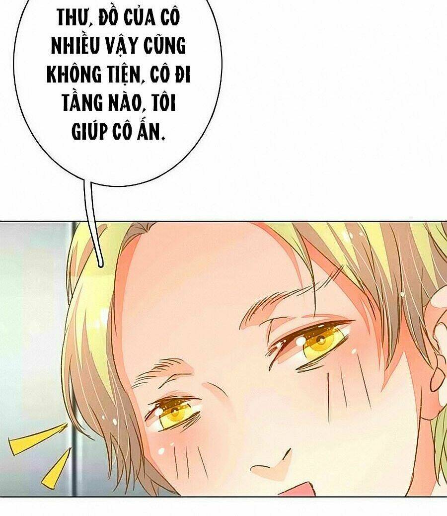 Hào Môn Tiểu Lãn Thê: Chapter 48