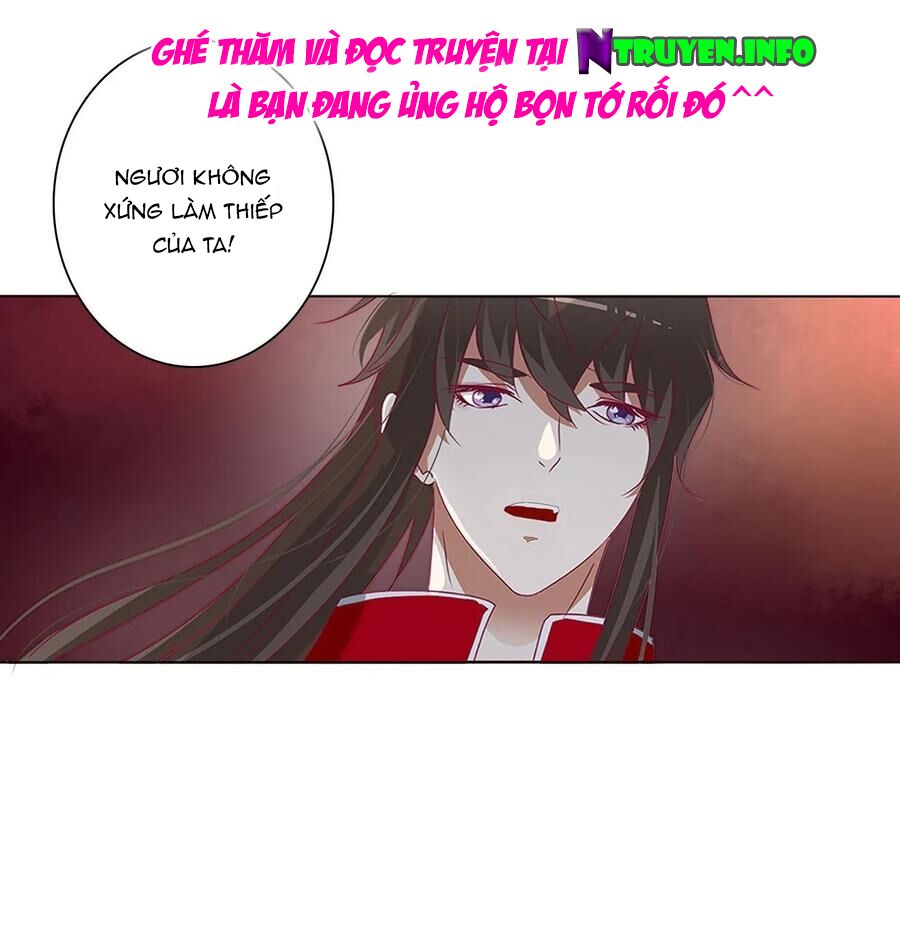 Thông Linh Phi: Chapter 593