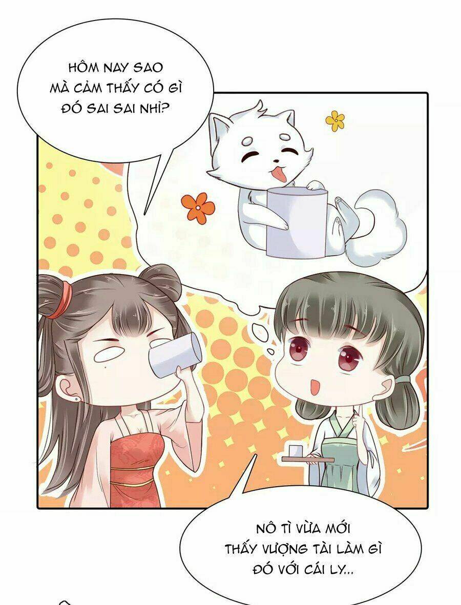 Phú Bà Bạc Tỷ Trong Lãnh Cung: Chapter 11