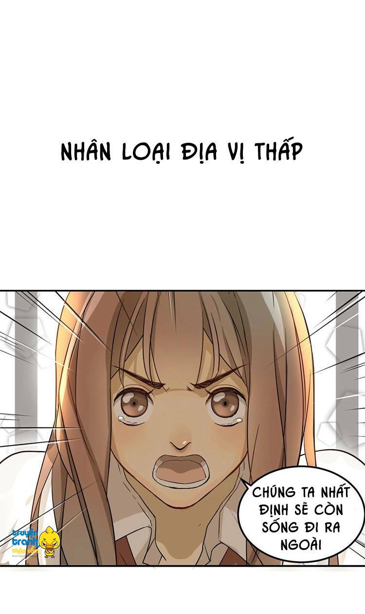 Cứu mạng ! Loài mèo thống trị thế giới rồi !: Chapter 1