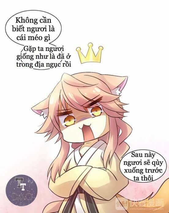 Dưới Móng Vuốt Mèo: Chapter 5