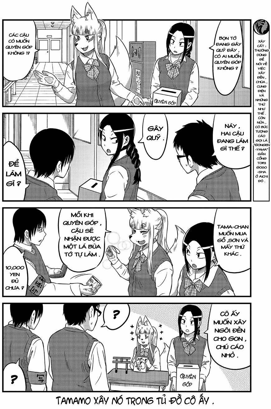 High School Inari Tamamo-Chan: Chapter 6