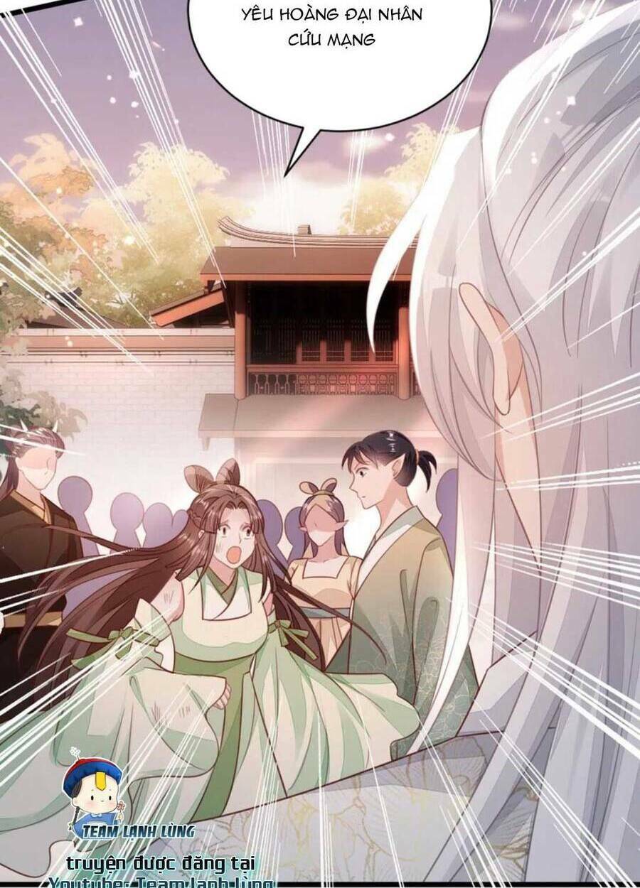 Mau Xuyên Không Rửa Tội Cho Nhân Vật Phản Diện: Chapter 124