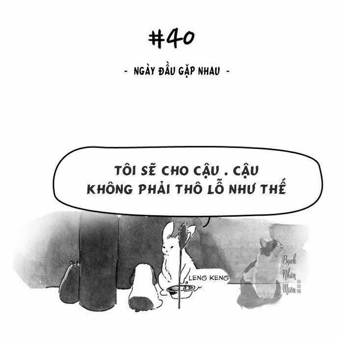 All That We Hope To Be: Chapter 11