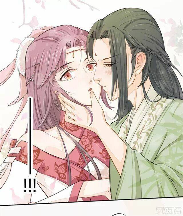 Tuyệt Thế Luyện Đan Sư: Chapter 21