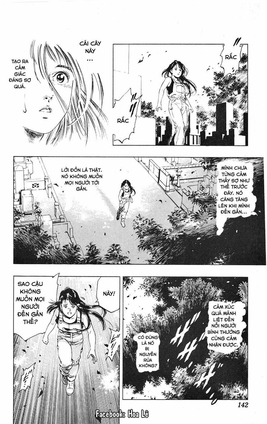 Cô Bé Mặt Trời: Chapter 5