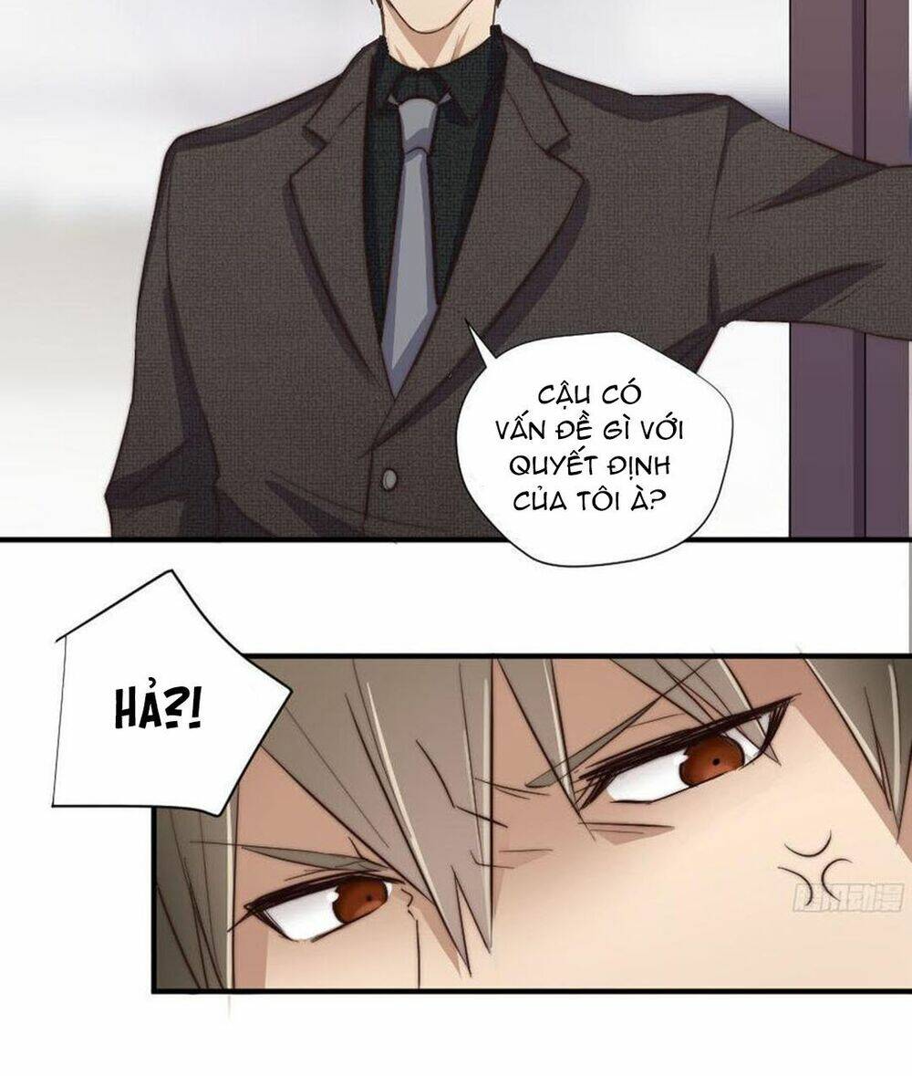 Đơn Phương Yêu Thầm Anh: Chapter 14