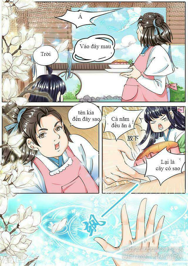 Gia Huynh Ở Lại Tìm Đường Chết: Chapter 20