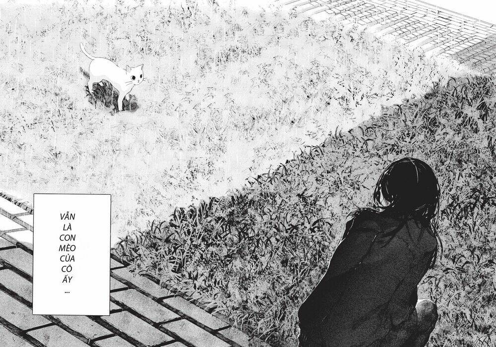 Chú Mèo Và Cô Chủ: Chapter 4