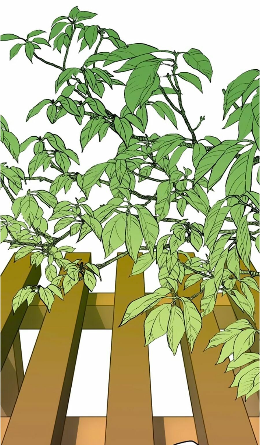 Bài Ca Tình Yêu: Chapter 7