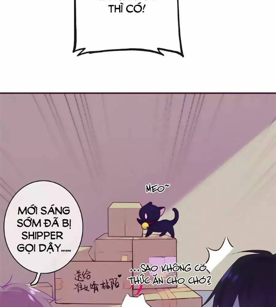 Đừng Nghịch, Ta Chỉ Muốn Yên Tĩnh: Chapter 65