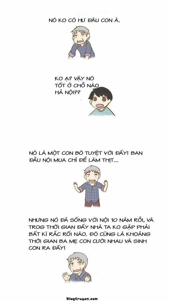 My Young Cat And My Old Dog: Chapter 19