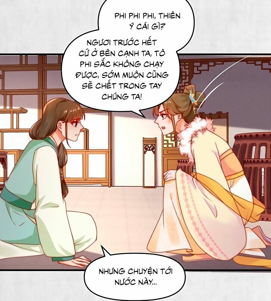 Hoạn Phi Hoàn Triều: Chapter 97