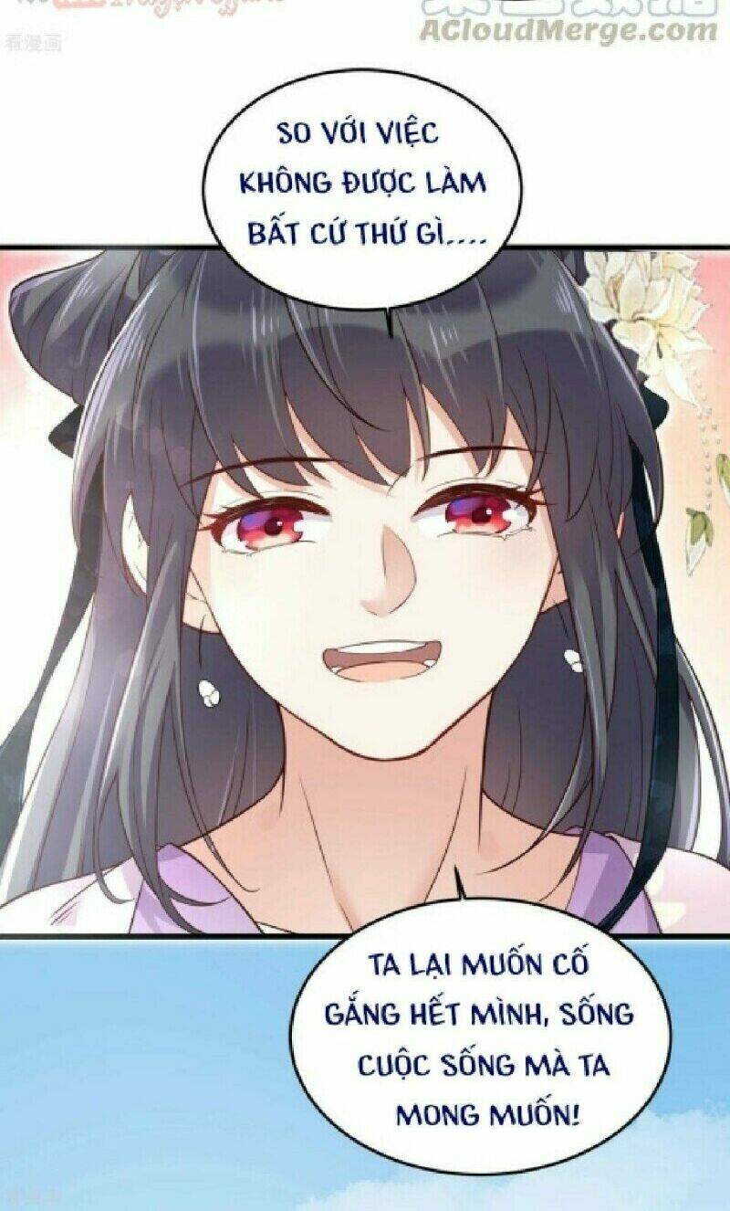 Nhật Kí Học Tập Của Hắc Liên Hoa: Chapter 19