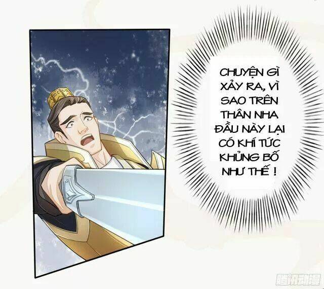 Tuyệt Thế Luyện Đan Sư: Chapter 20