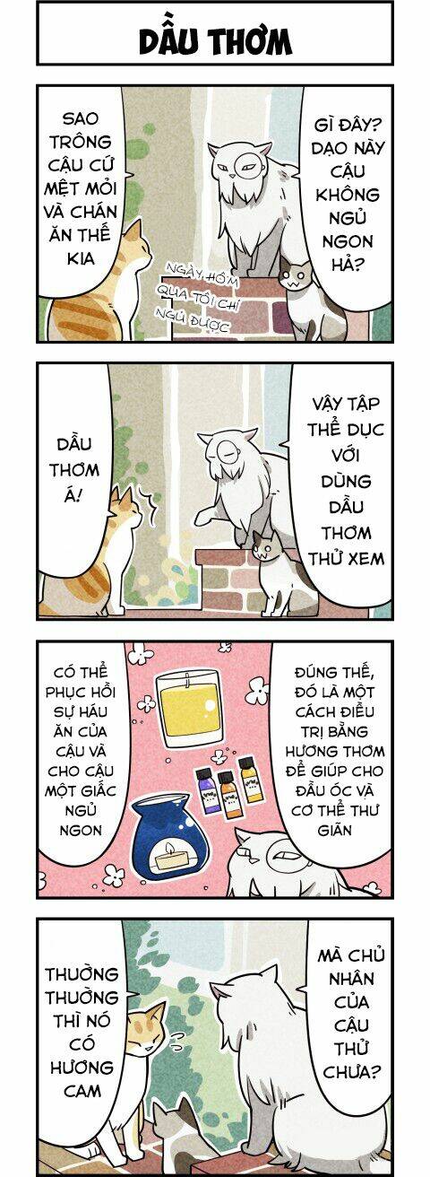 We Are Cat: Chapter 9