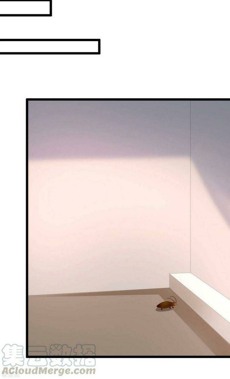 Tối Cường Vận Đào Hoa: Chapter 211