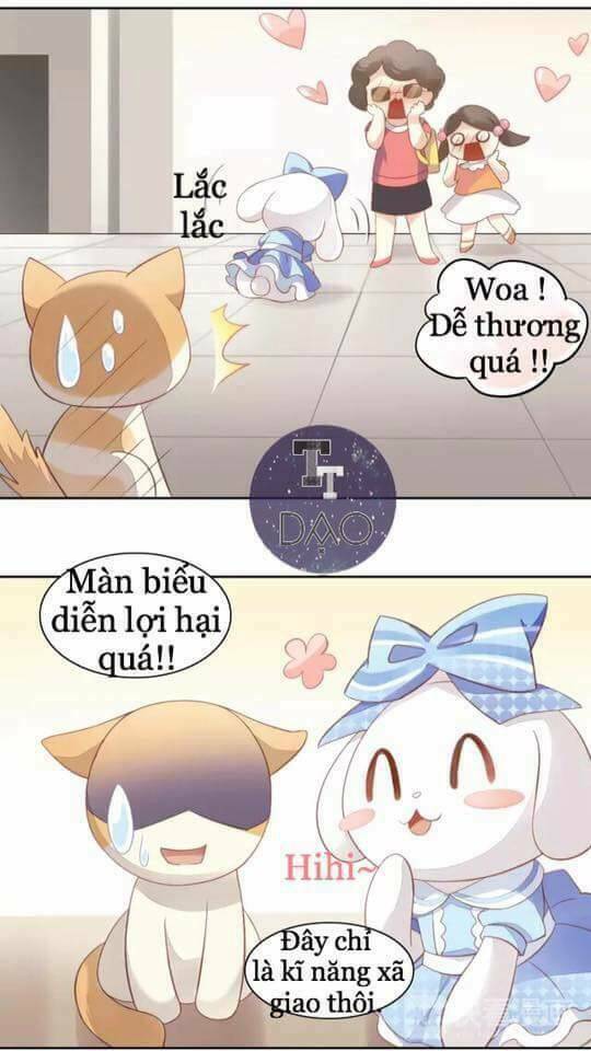 Dưới Móng Vuốt Mèo: Chapter 7