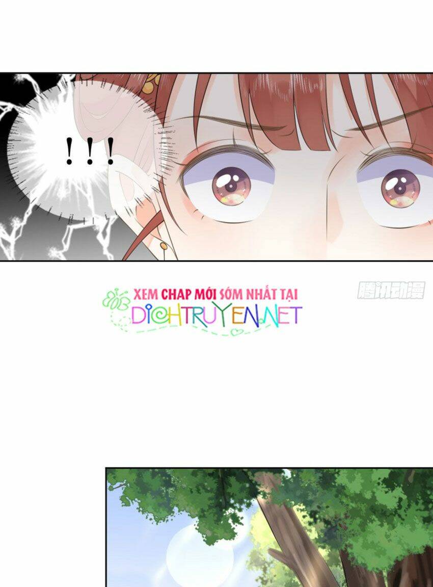Tang Lạc Túy Tại Nam Phong Lý: Chapter 36