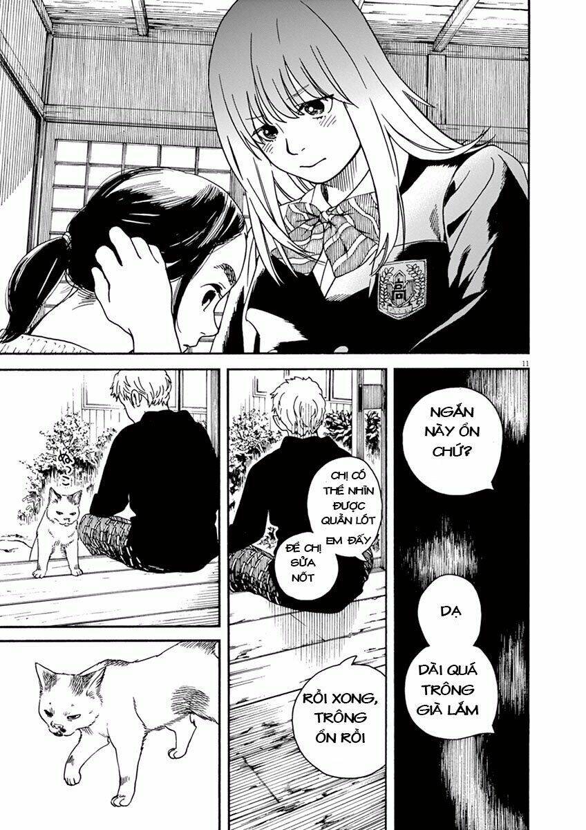 Neko No Otera No Chion-San: Chapter 6