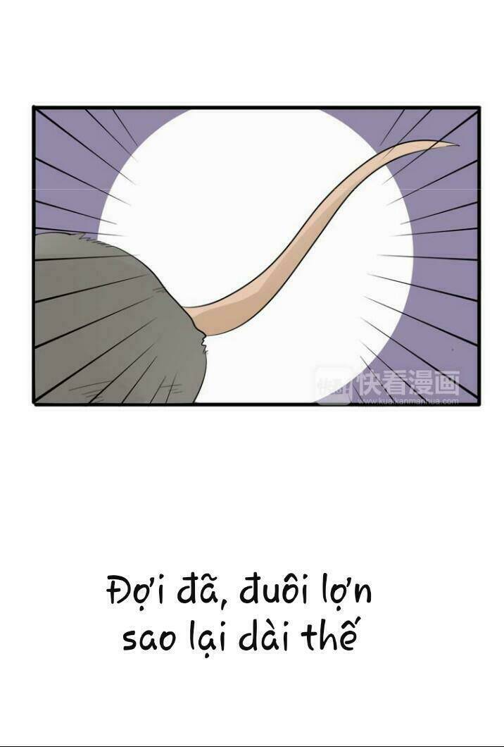 Thú Sủng Của Tôi Bị Mất Trí Rồi: Chapter 9