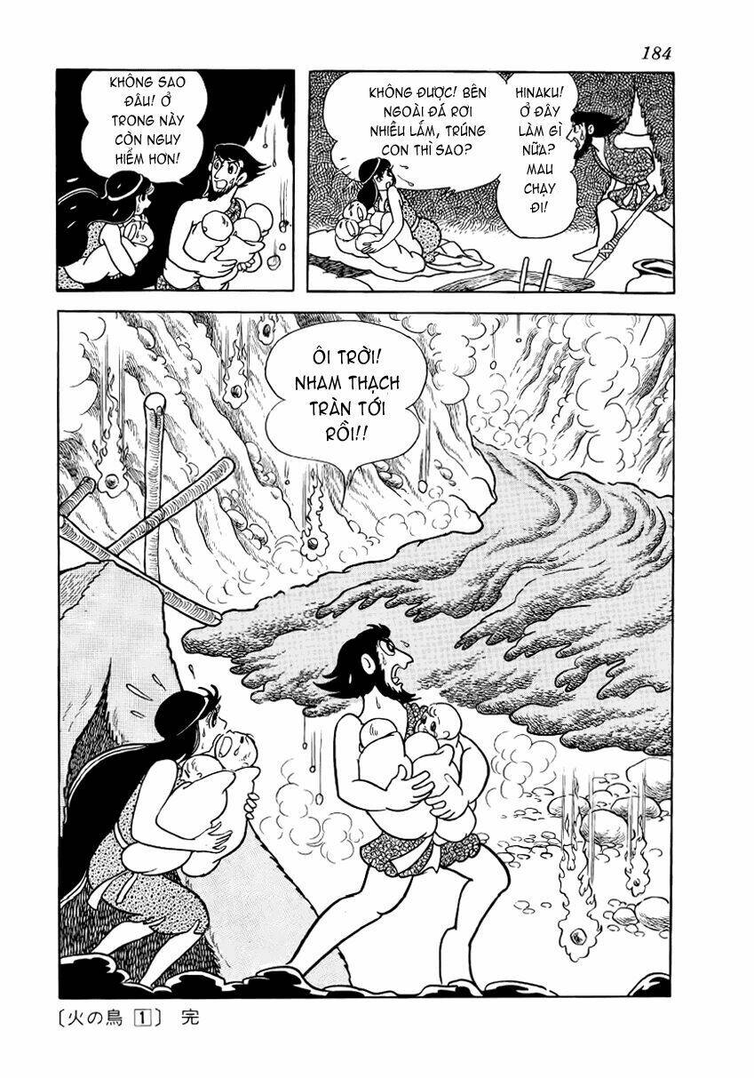 Chim Lửa: Chapter 8