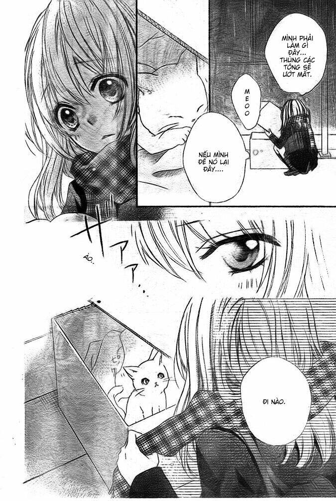 Tình Yêu Của Hiyo: Chapter 4