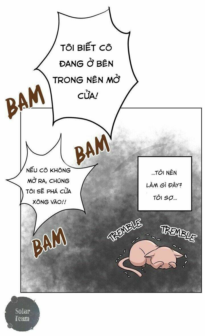 Một Cuộc Sống Kỳ Lạ: Chapter 1