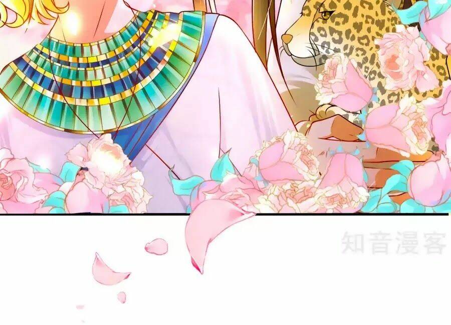 Sủng Hậu Của Vương: Chapter 4