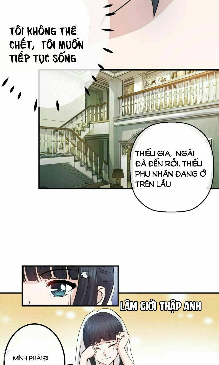 Hào Môn Thái Thái Không Dễ Làm: Chapter 3