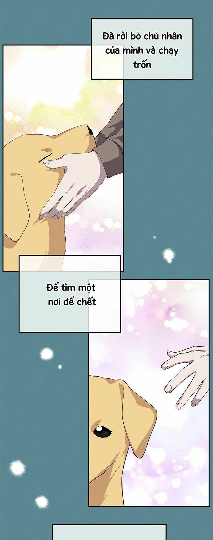Hãy Trả Lời Em, Hoàng Tử!: Chapter 18
