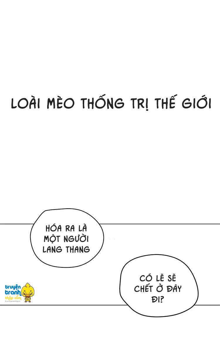 Cứu mạng ! Loài mèo thống trị thế giới rồi !: Chapter 1