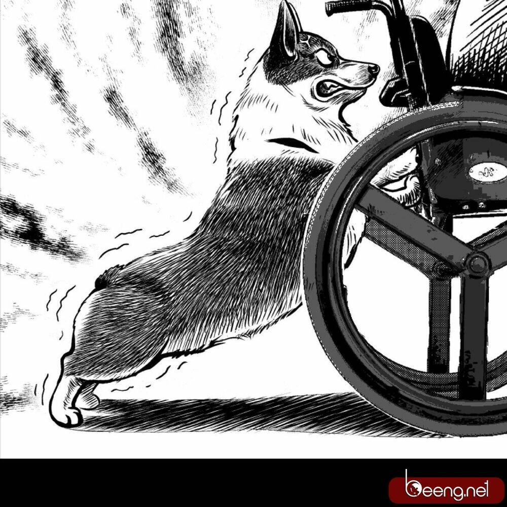Dạ Hành Khuyển: Chapter 2