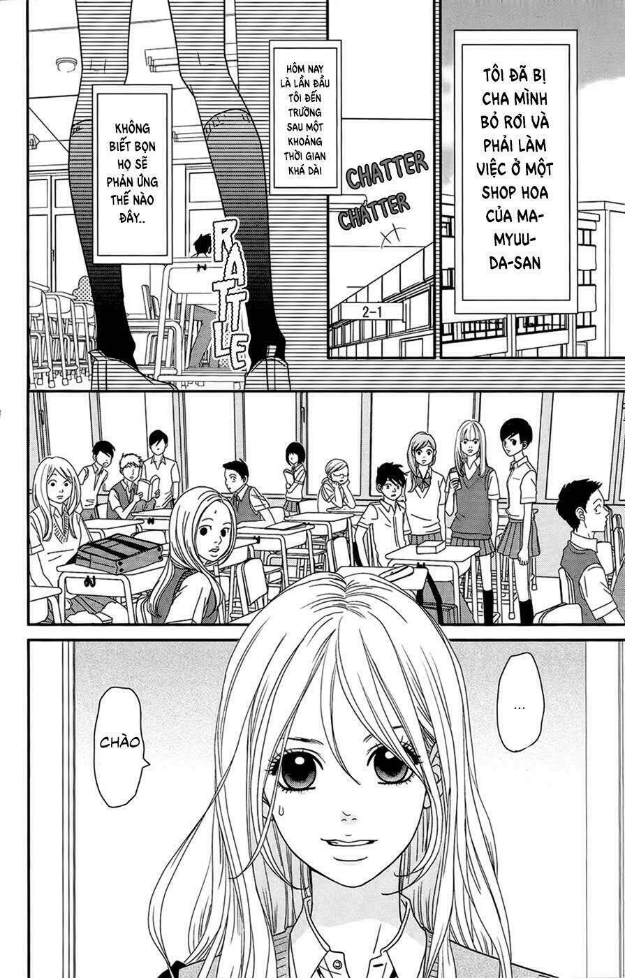 Đóa Hoa Năm Ấy: Chapter 2