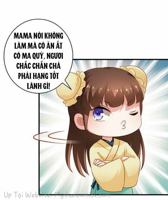 Thái Tử Điện Hạ Có Tin Vui: Chapter 41