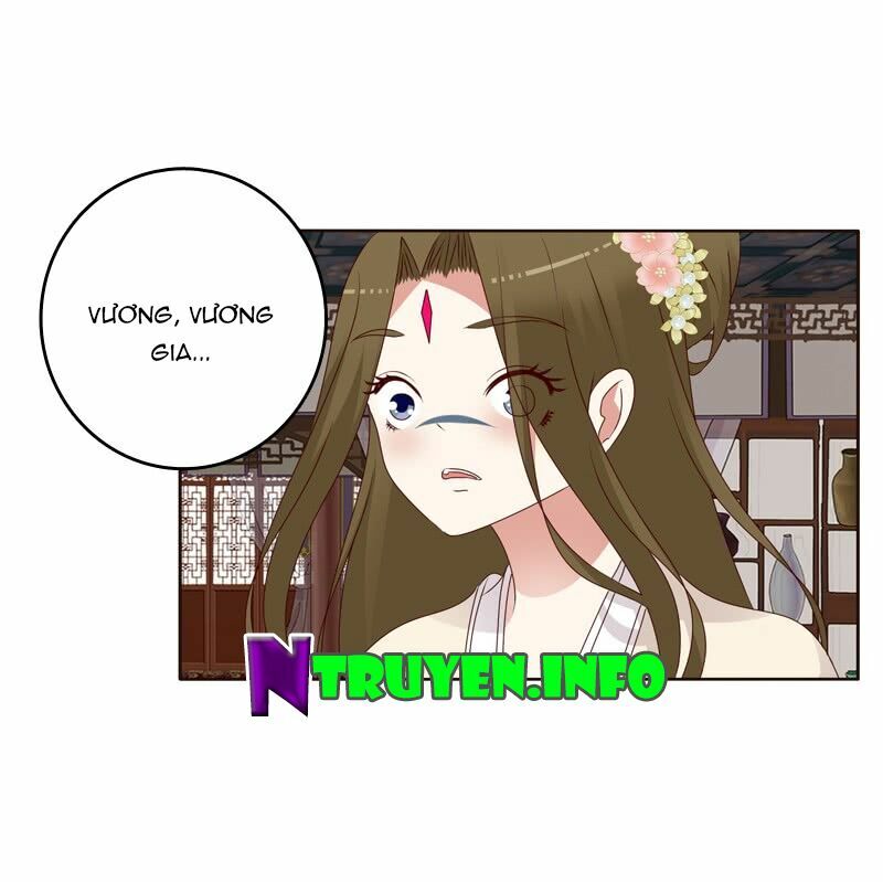 Thông Linh Phi: Chapter 234