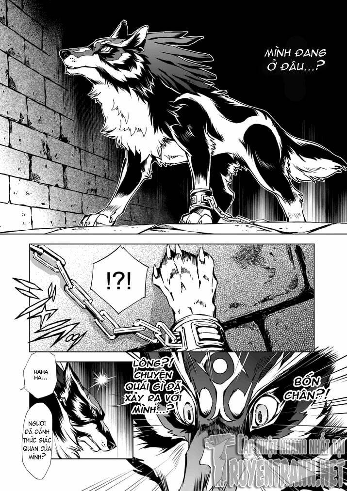 Zelda No Densetsu - Twilight Princess: Chapter 9