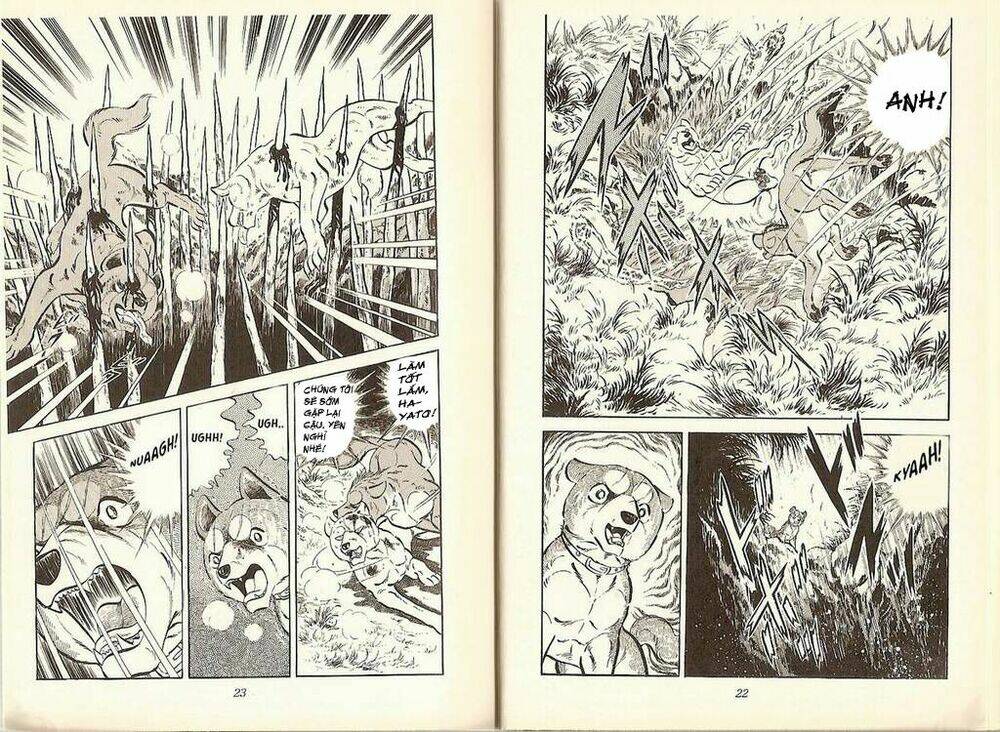 Chú Chó Có Nghĩa - Ginga Nagareboshi Gin: Chapter 19