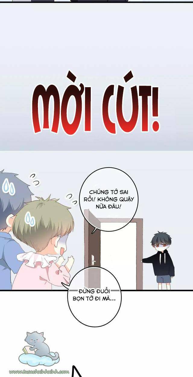 Con Tim Rung Động: Chapter 58