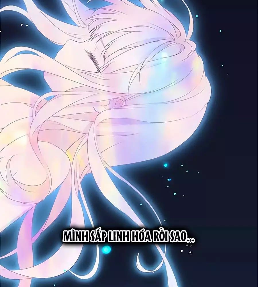 Kiều Nhi Hư Quá Nha: Chapter 6