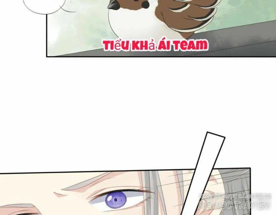 Tước Kiều Tiên: Chapter 2.1