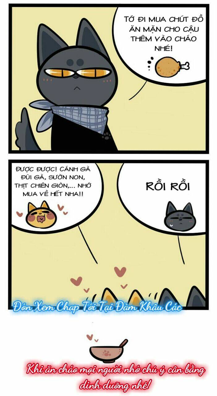 Đời Không Như Mình Tưởng: Chapter 20