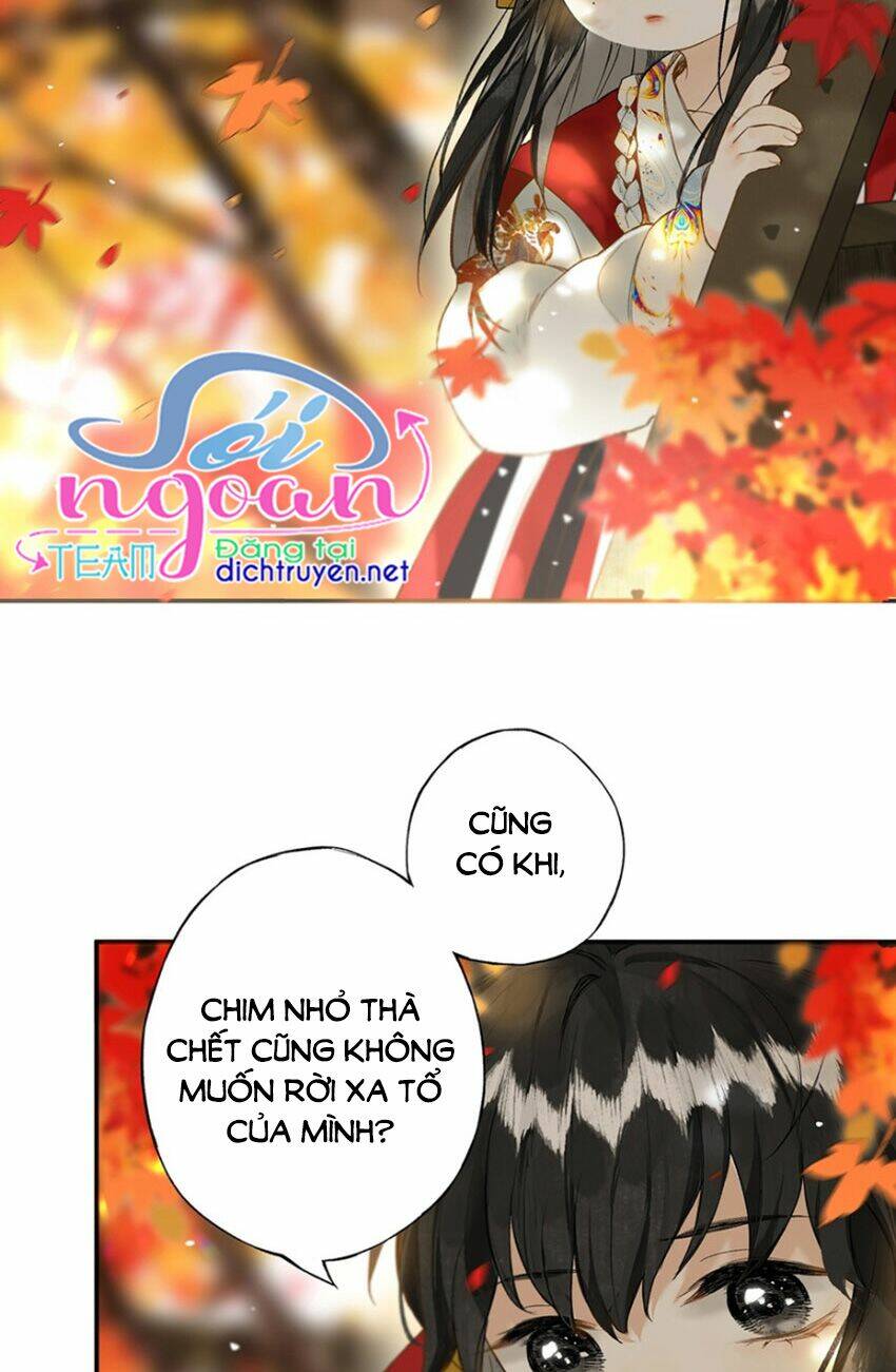 Lưu Hoa Bất Cập Xuân: Chapter 22