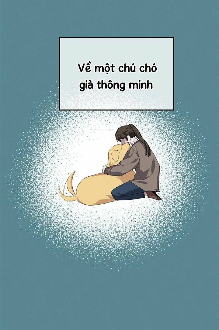 Hãy Trả Lời Em, Hoàng Tử!: Chapter 18
