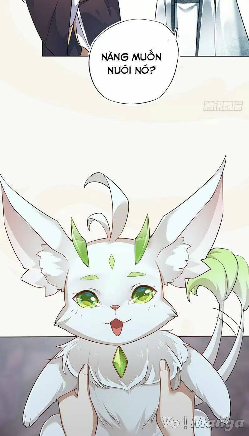 Tuyệt Thế Luyện Đan Sư: Chapter 139